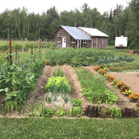 Chalet Saint-Thomas LʼAnse-Saint-Jean エクステリア 写真